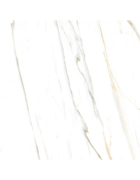 Pudico Square Pulido 74 X 74